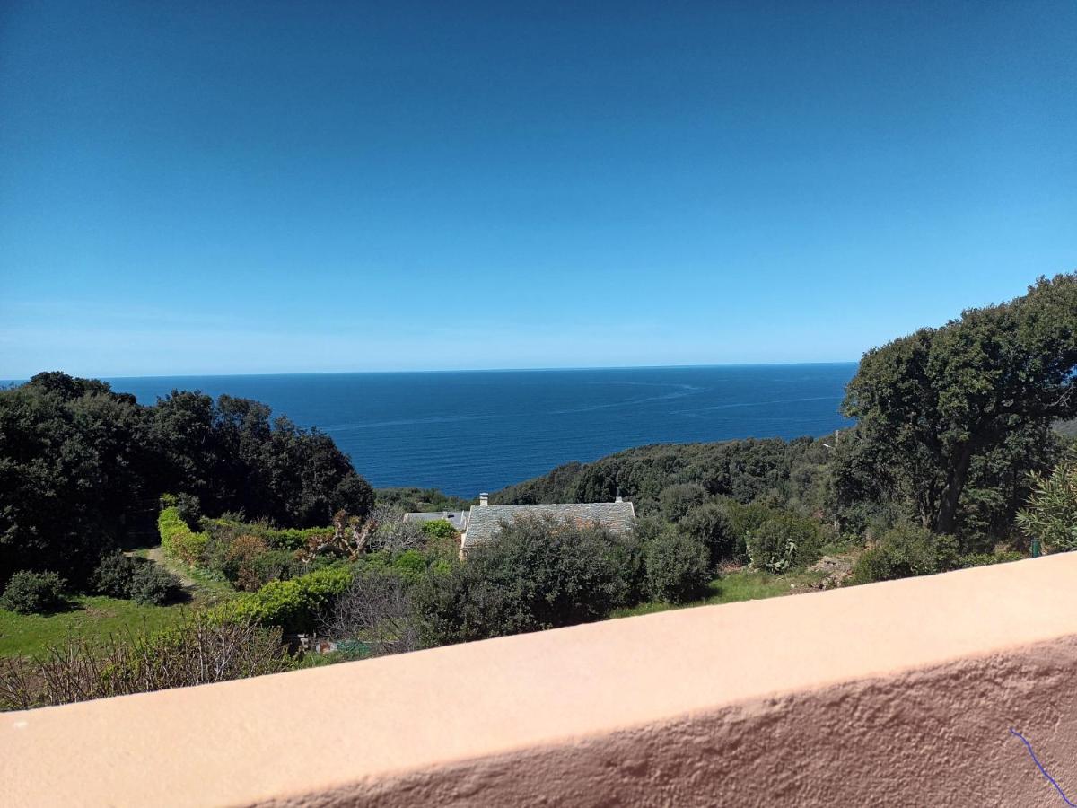 Вилла Azureo - Terrasse Du Golfe Morsiglia Экстерьер фото